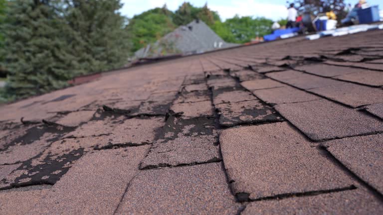 Best Wood Shake Roofing  in Lake Isabella, MI