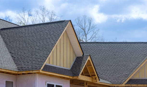 Best Rubber Roofing (EPDM, TPO)  in Lake Isabella, MI