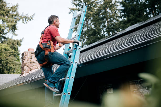 Best Metal Roofing Installation  in Lake Isabella, MI