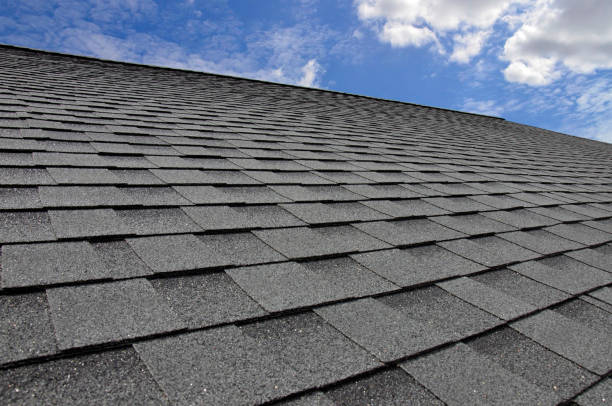 Best Roof Coating and Sealing  in Lake Isabella, MI