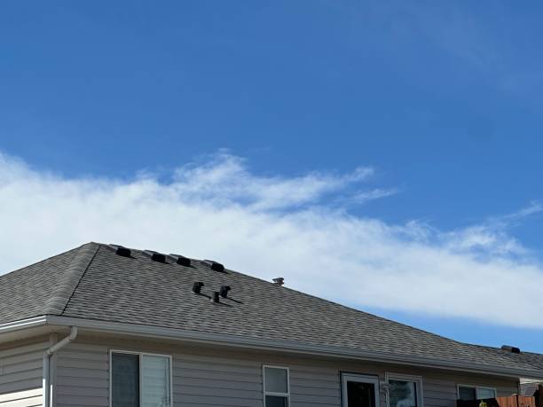 Best Commercial Roofing Services  in Lake Isabella, MI